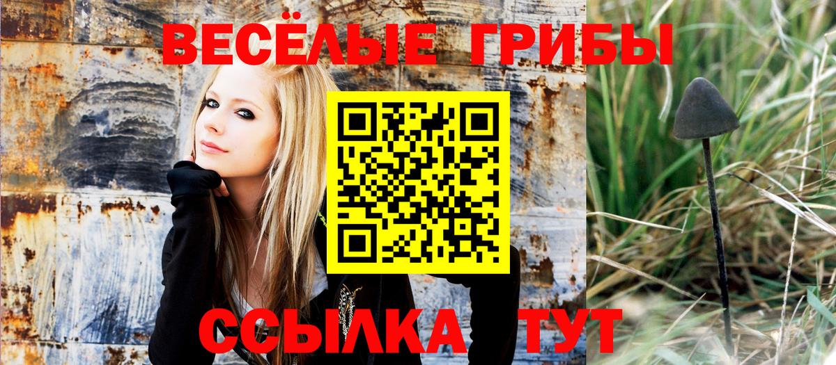 Псилоцибиновые грибы мухоморы Златоуст